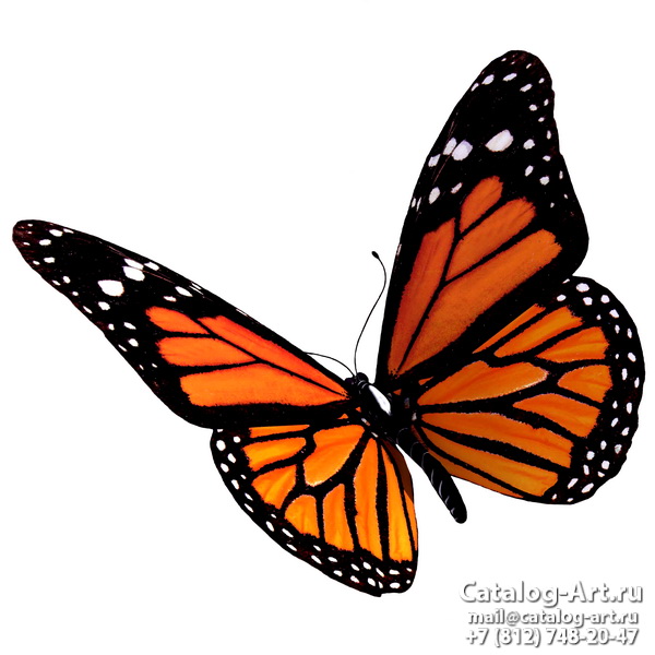  Butterflies 139